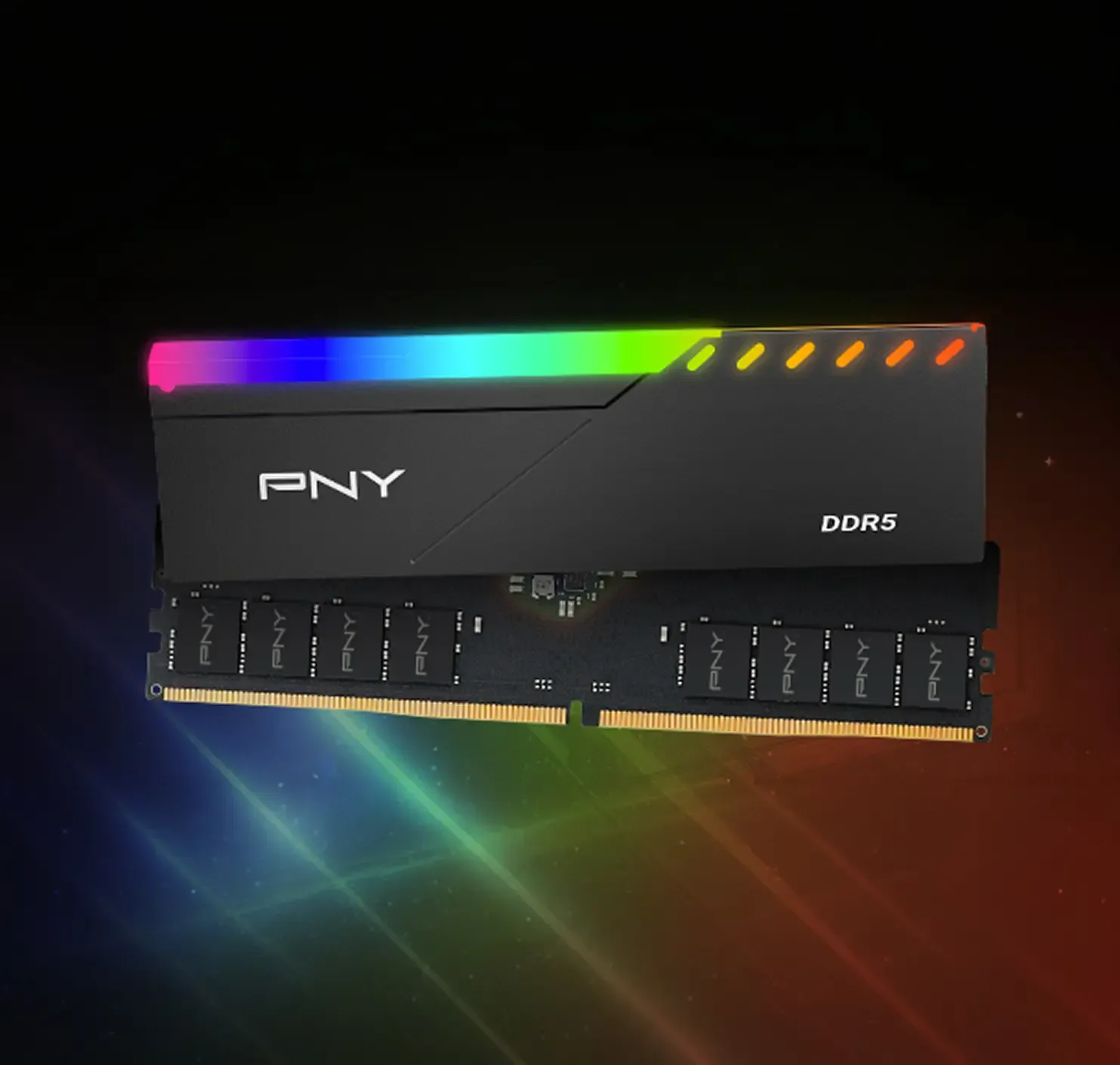 pny DDR5