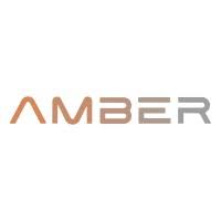 AMBER AI & Data Science Solutions GmbH Logo